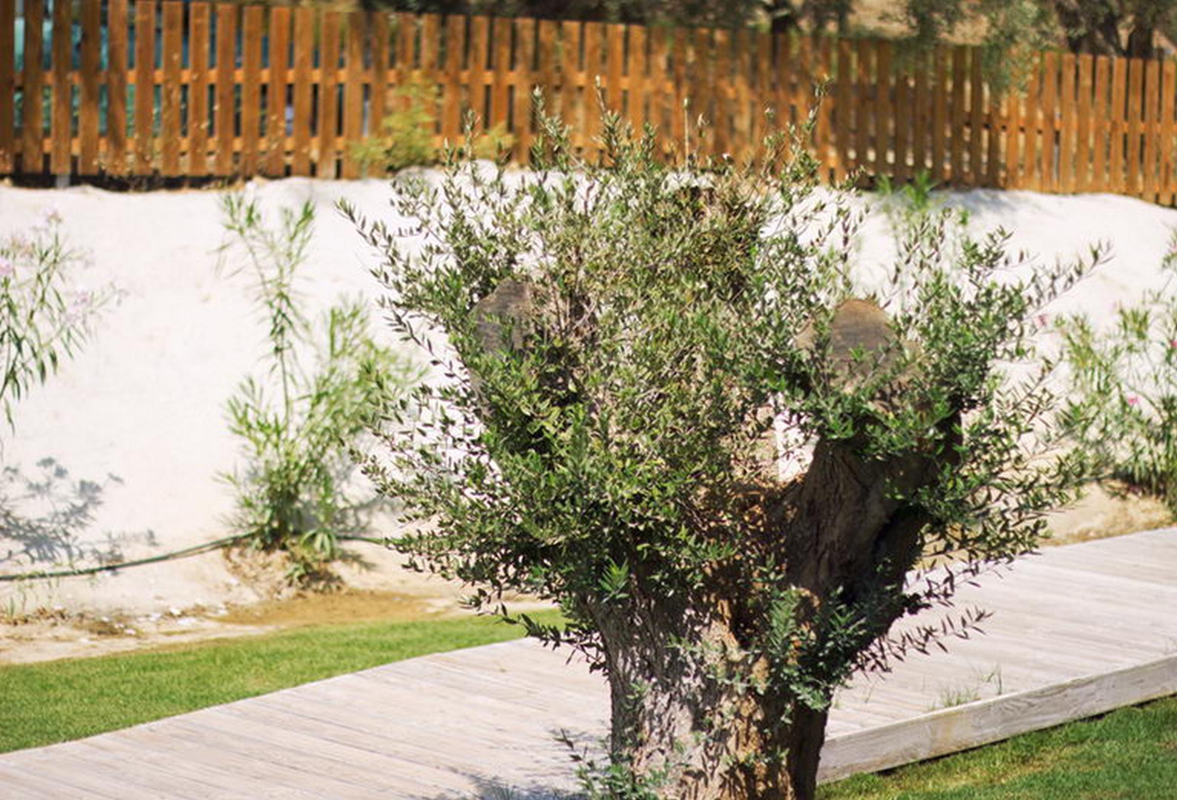 Aqua Bay Suites Hotel Family 1St Floor Room Tsilivi  Bagian luar foto